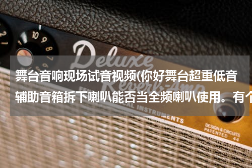舞台音响现场试音视频(你好舞台超重低音辅助音箱拆下喇叭能否当全频喇叭使用。有个单18寸低音舞台音箱dvd测试做音视频推不动)