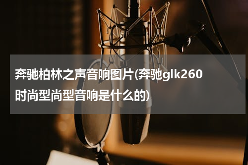 奔驰柏林之声音响图片(奔驰glk260时尚型尚型音响是什么的)