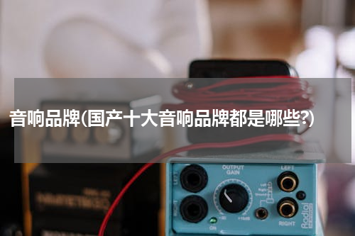 音响品牌(国产十大音响品牌都是哪些?)
