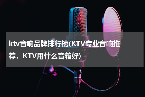 ktv音响品牌排行榜(KTV专业音响推荐，KTV用什么音箱好)