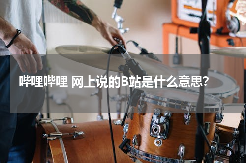 哔哩哔哩 网上说的B站是什么意思？
