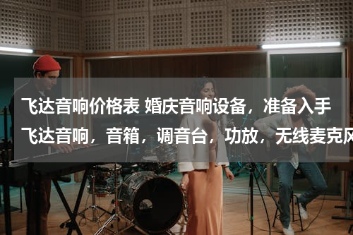 飞达音响价格表 婚庆音响设备，准备入手飞达音响，音箱，调音台，功放，无线麦克风，一套需要多钱