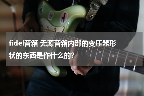 fidel音箱 无源音箱内部的变压器形状的东西是作什么的？