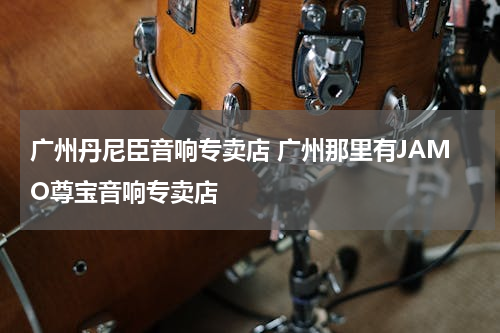 广州丹尼臣音响专卖店 广州那里有JAMO尊宝音响专卖店