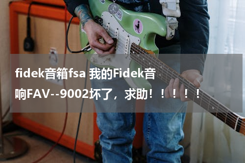 fidek音箱fsa 我的Fidek音响FAV--9002坏了，求助！！！！！