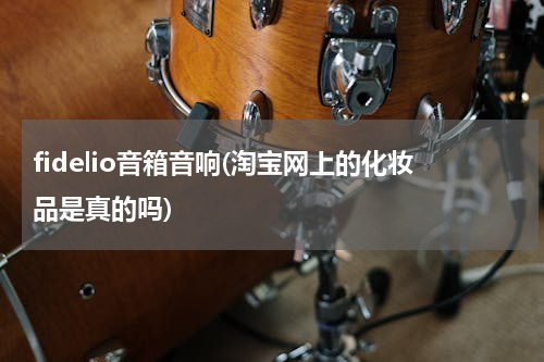 fidelio音箱音响(淘宝网上的化妆品是真的吗)