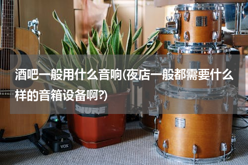 酒吧一般用什么音响(夜店一般都需要什么样的音箱设备啊?)
