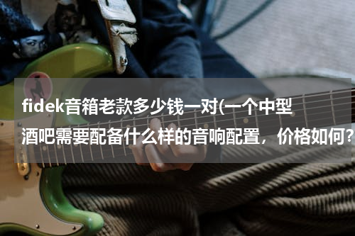 fidek音箱老款多少钱一对(一个中型酒吧需要配备什么样的音响配置，价格如何？)