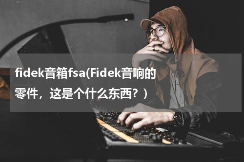 fidek音箱fsa(Fidek音响的零件，这是个什么东西？)