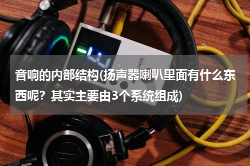 音响的内部结构(扬声器喇叭里面有什么东西呢？其实主要由3个系统组成)