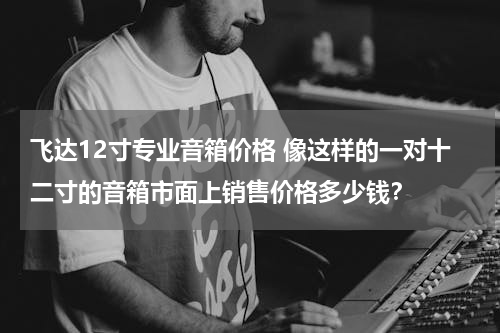 飞达12寸专业音箱价格 像这样的一对十二寸的音箱市面上销售价格多少钱？