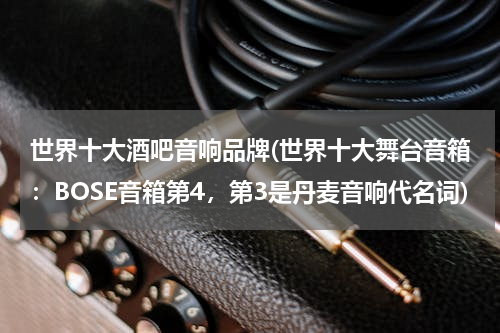 世界十大酒吧音响品牌(世界十大舞台音箱：BOSE音箱第4，第3是丹麦音响代名词)