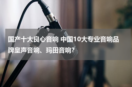 国产十大良心音响 中国10大专业音响品牌皇声音响、玛田音响？